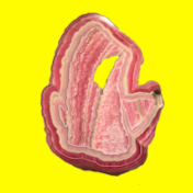 Crystal Power Grundlagenwissen - Crystal healing knowledge - Savoire des cristaux - 晶体结构