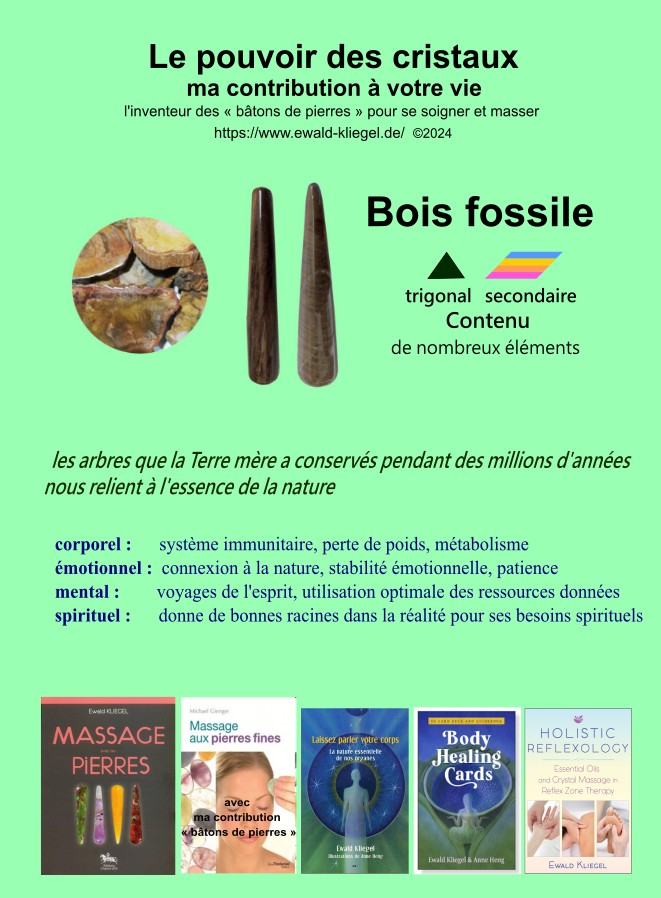 Bois_fossile - MASSAGE avec les PIERRES Ewald Kliegel