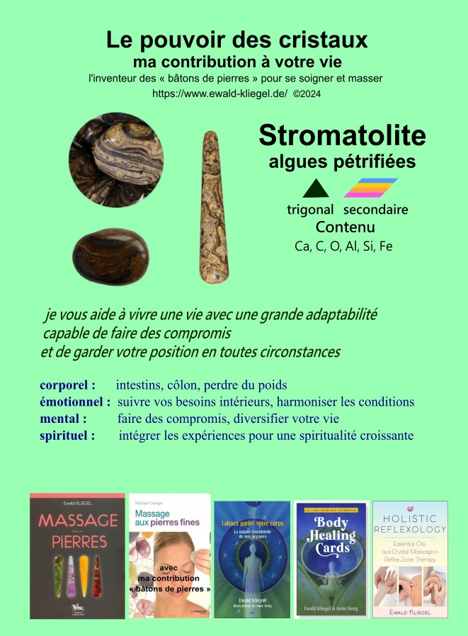 Stromatolite - MASSAGE avec les PIERRES Ewald Kliegel