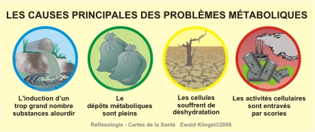 causes principales des problèmes métaboliques