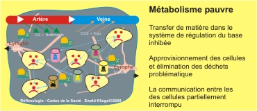 Métabolisme pauvre